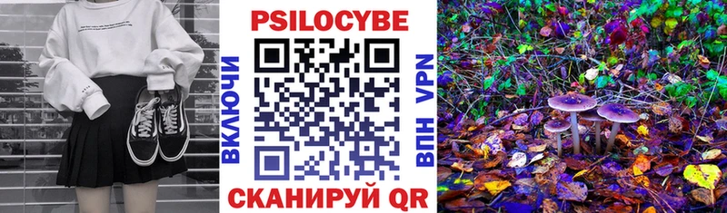 Галлюциногенные грибы Cubensis  Мелеуз 